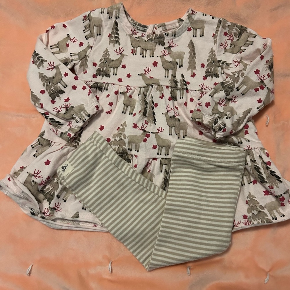 Burt’s Bees Holiday Outfits - Picture 3 of 3